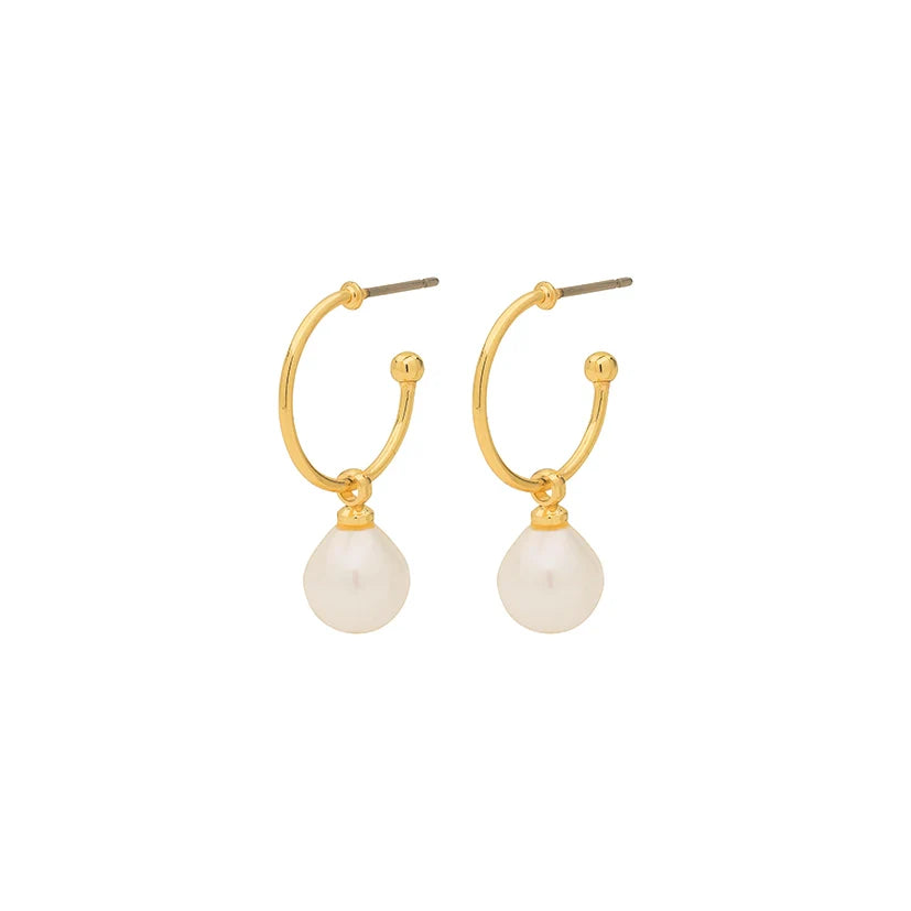 Elia Pearl Hoop Earrings in Gold | Pilgrim