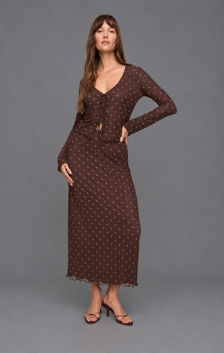 Amara Polka Dot Mesh Top | Z Supply