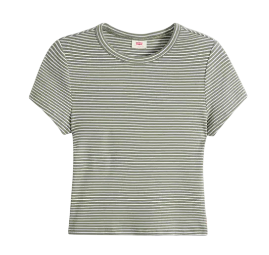 Lichen Dark Green Stripe Hayes Cropped Tee | Levi's