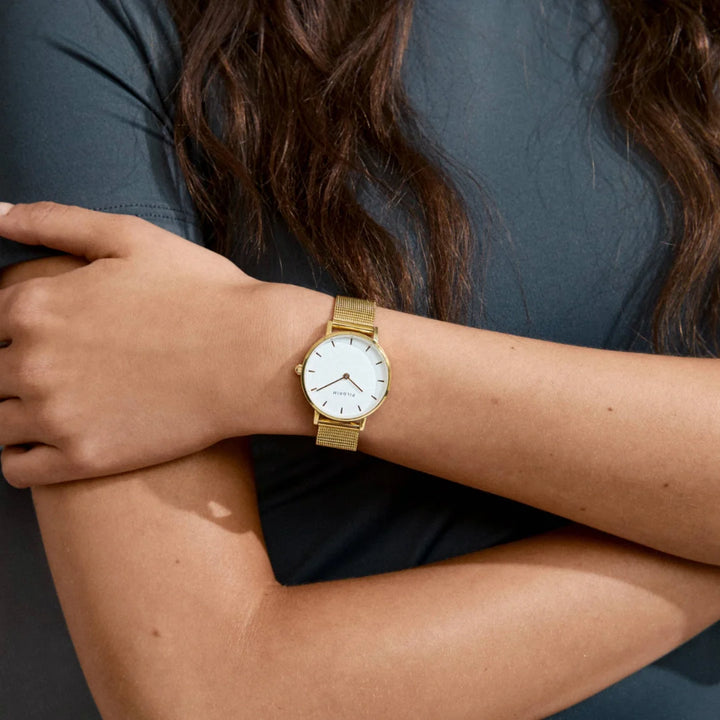 Traveller Steel Watch - Gold | Pilgrim