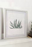 Botanical hand painted water color prints.  Casey Snyder