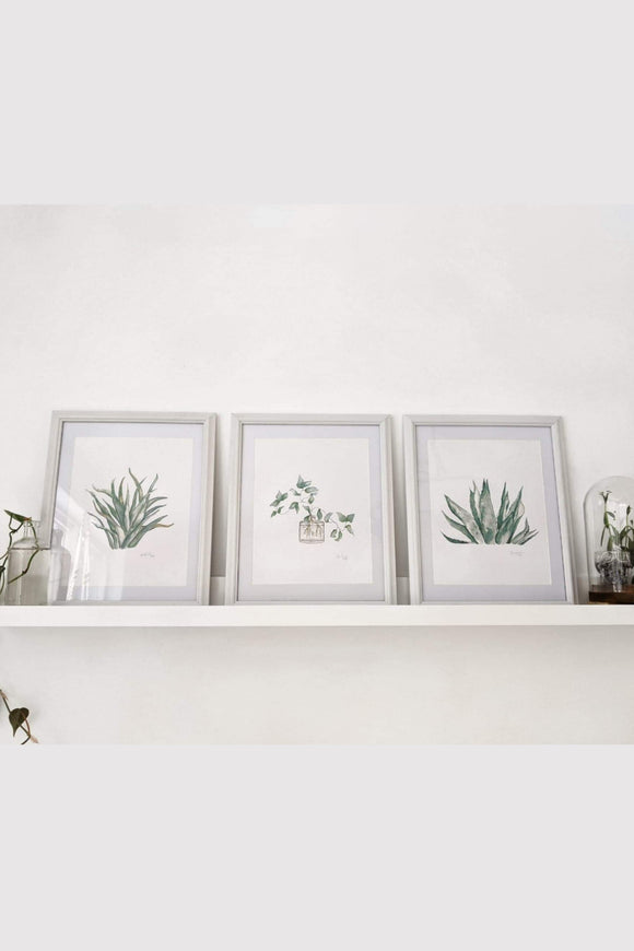 Botanical hand painted water color prints.  Casey Snyder